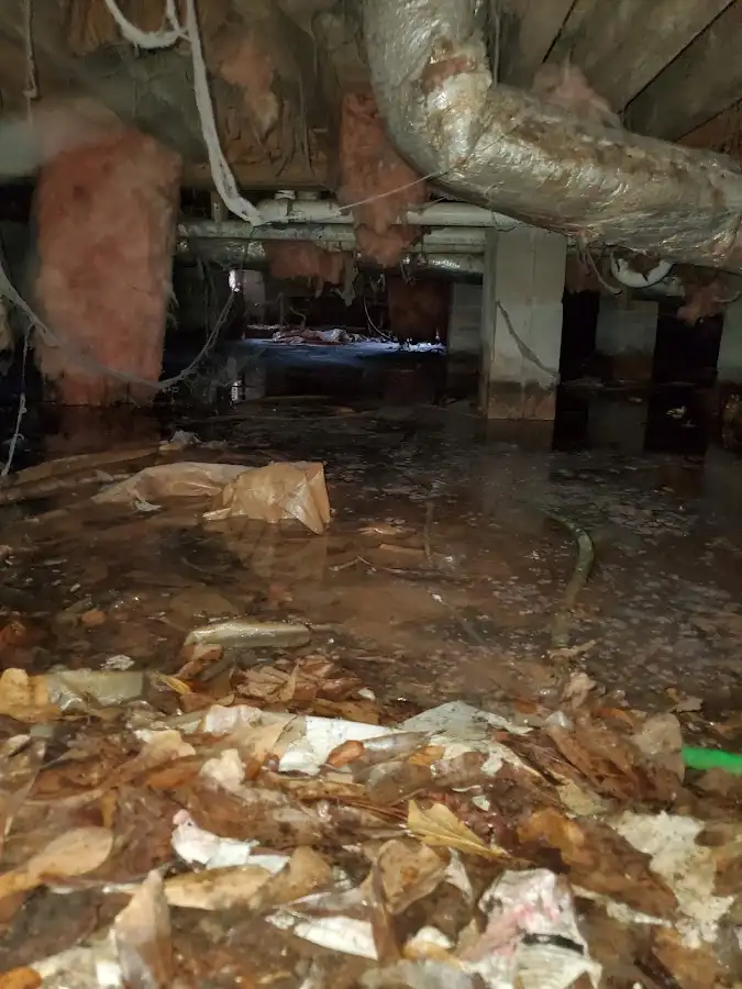 Crawl space flood assessment for Commercial Water Damage Restoration in Laredo